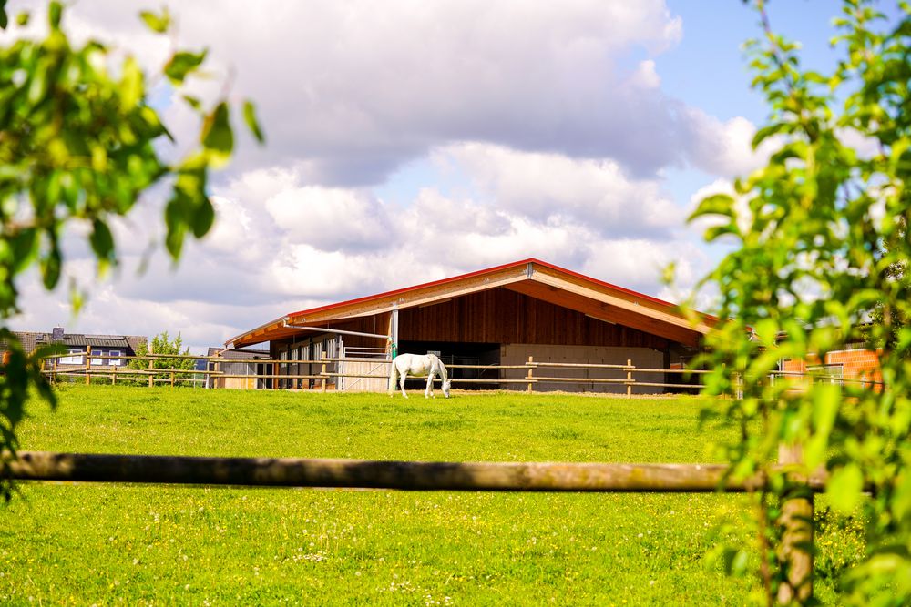 Reitstall Pavel – Einblick 2