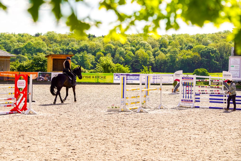 Reitstall Pavel – Einblick 5