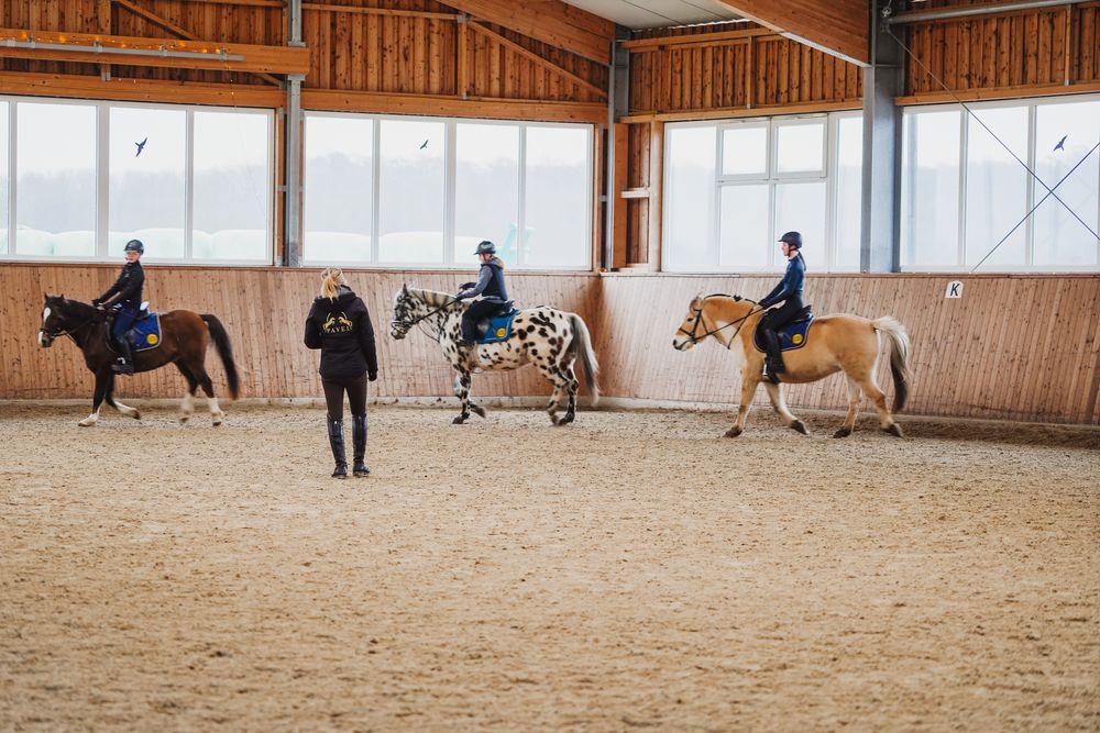 Reitstall Pavel – Einblick 6